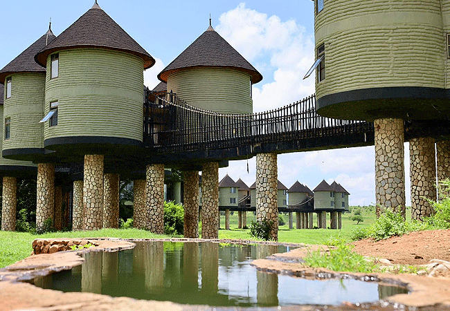 salt-lick-safari-lodge-is-a-unique-architectural-marvel-consisting-of-96-rooms Salt Lick Safari Lodge