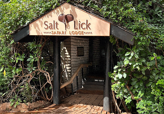 salt-lick-safari-lodge-takes-approximately-6 hours-drive-from-nairobi Salt Lick Safari Lodge