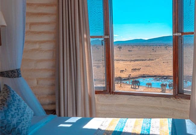 salt-lick-safari-lodge-waterhole-view-rooms Salt Lick Safari Lodge