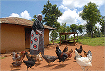 Nyangoma Kogelo Village Kisumu Cultural Day Trip