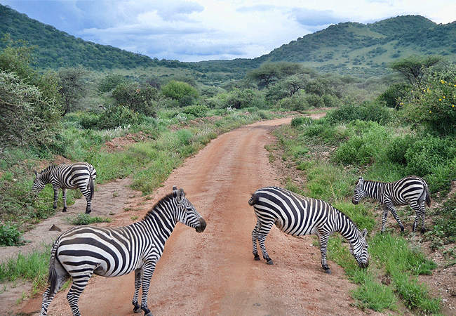 Severin Safari Camp Tsavo West national Park