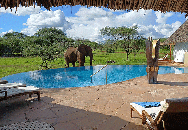 Severin Safari Camp Tsavo West national Park