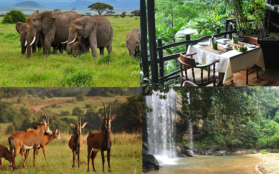 Mombasa 1-Day Tours Shimba Hills National Reserve Safari