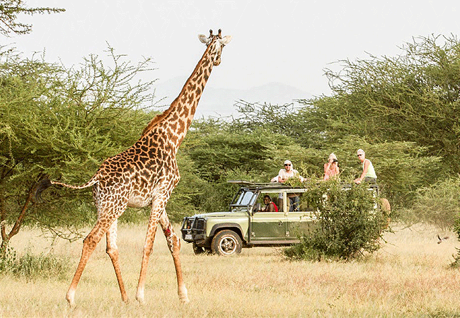shompole-wilderness-camp-day-or-night-game-drives Shompole Wilderness Camp