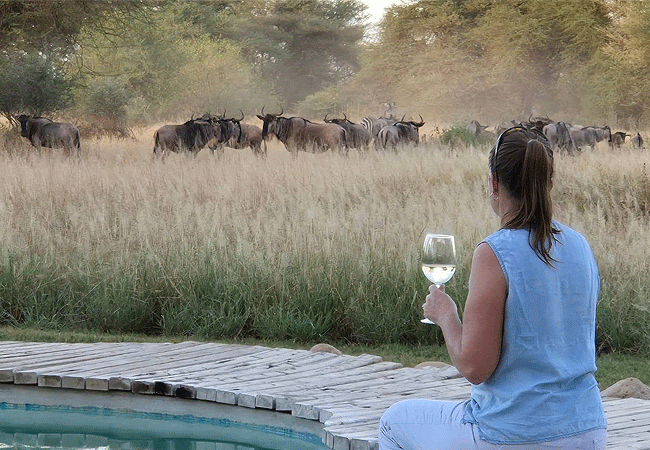 shompole-wilderness-camp-game-drive-from-the-pool Shompole Wilderness Camp