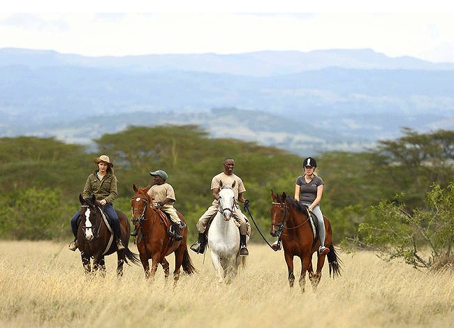 solio-game-reserve-2-days-1-night-safari-kenya-horse-ride Solio Game Reserve 2 days1 night safari kenya