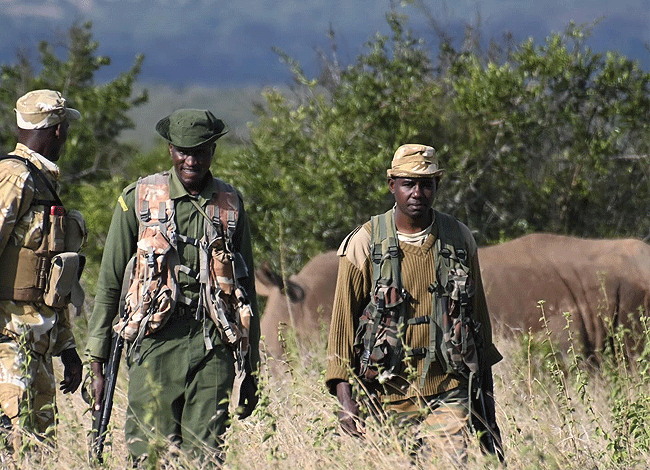 solio-game-reserve-2-days-1-night-safari-kenya-solio-ranch-game-rangers Solio Game Reserve 2 days1 night safari kenya