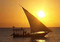 Sunset Dhow Cruise + Dinner at Mbweni Ruins Tour – Zanzibar Island