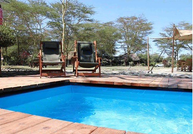 swara-acacia-lodge-swimming-pool Swara Plains Wildlife Conservancy 2 Days 1 Night Holiday