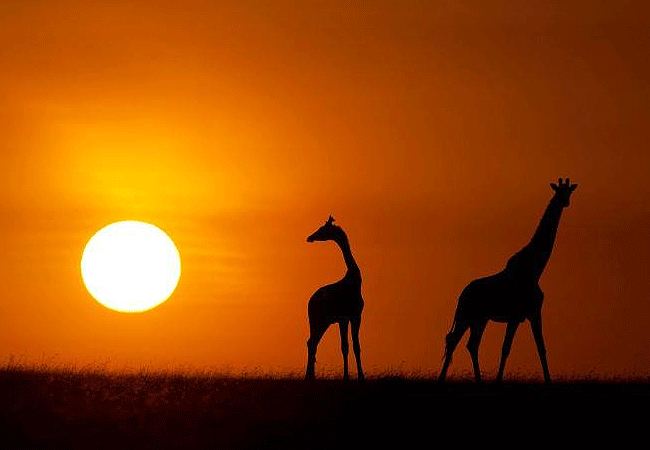 swara-plains-wildlife-conservancy-2-days-1-night-holiday-sunset Swara Plains Wildlife Conservancy 2 Days 1 Night Holiday