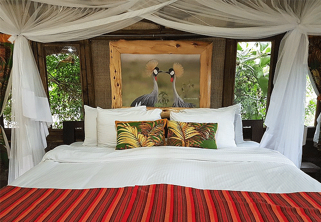 swara-plains-wildlife-conservancy-2-days-1-night-holiday-swara-acacia-lodge Swara Plains Wildlife Conservancy 2 Days 1 Night Holiday