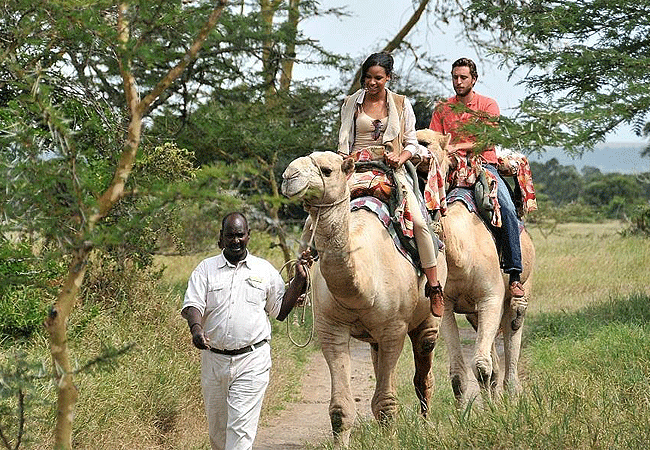 Sweetwaters Serena Camp Camel