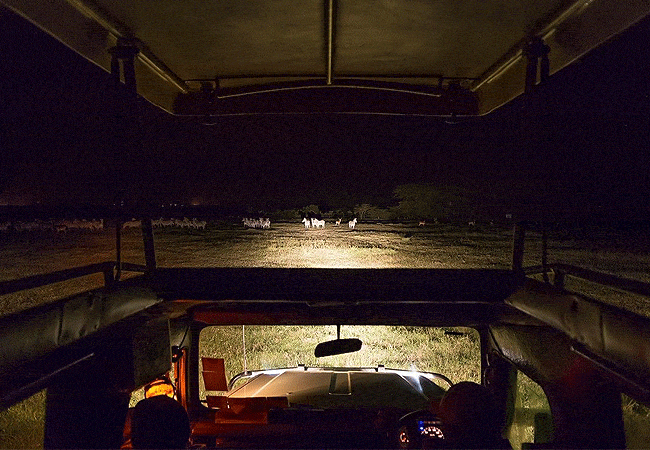 Sweetwaters Serena Camp
