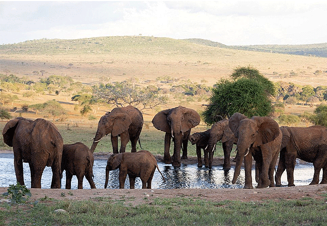 taita-hills-safari-resort-a-waterhole-and-the-vast-tsavo-plains Taita Hills Safari Resort & Spa