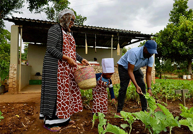 taita-hills-safari-resort-spa-organic-garden Taita Hills Safari Resort & Spa