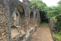 Takwa Ruins Manda Island Historical Day Tour Lamu