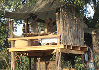 The Nest Tree House – Masai Mara Game Reserve