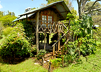 Tree House Cottage Kembu Farm, Njoro – Nakuru