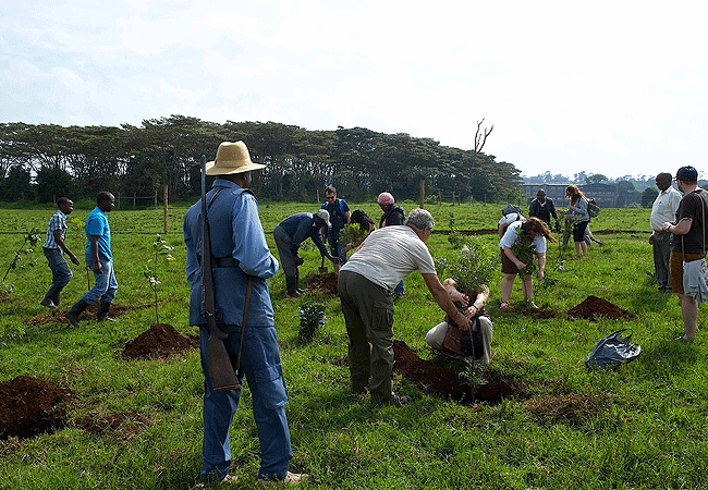 treetops-aberdare-tree-planting Treetops Lodge Tree Hotel Aberdare