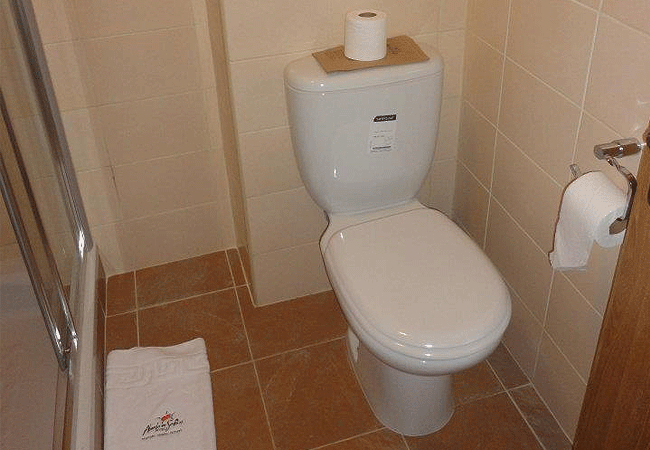 treetops-lodge-aberdare-elephants-bath-room Treetops Lodge Tree Hotel