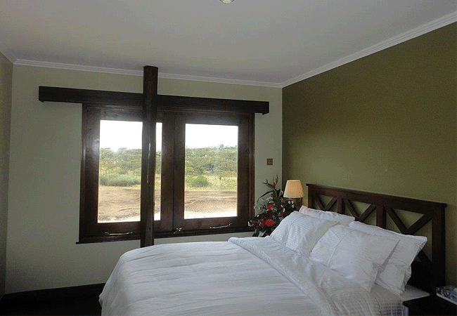 treetops-lodge-aberdare-national-park-guest-room-window Treetops Lodge Tree Hotel