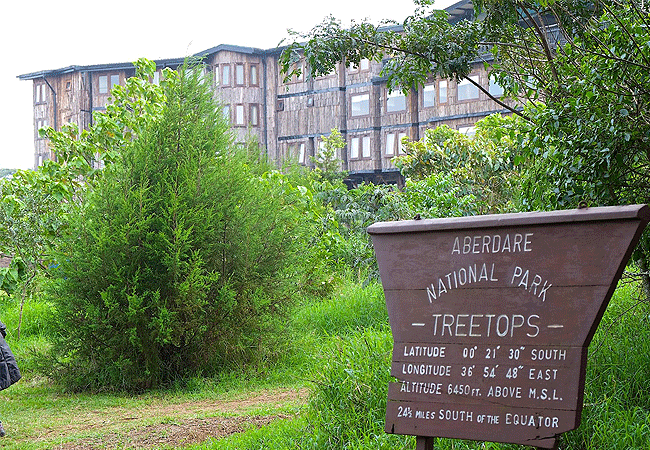 treetops-lodge-aberdare-national-park-luxury-hotel Treetops Lodge Tree Hotel