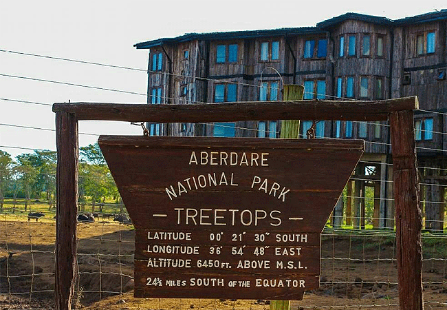 treetops-lodge-aberdare-national-park-safari-2-days-1-night-tour-hotel Aberdare National Park Safari 2 Days 1 Night Tour