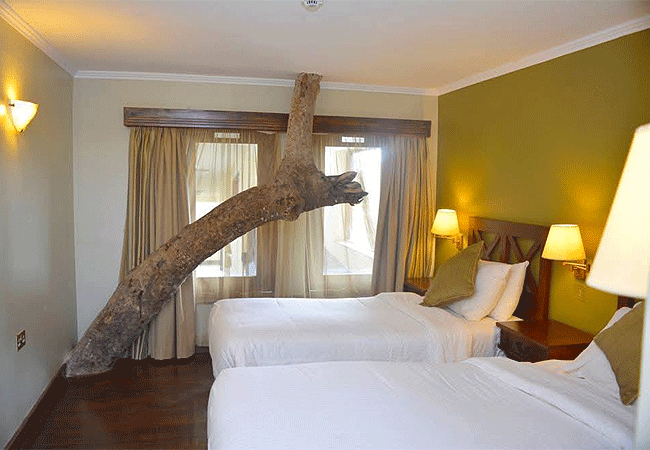 treetops-lodge-aberdare-national-park-safari-2-days-1-night-tour-twin-room Aberdare National Park Safari 2 Days 1 Night Tour
