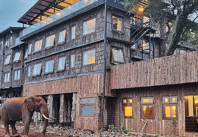 treetops-lodge-aberdare-national-park-safari-2-days-1-night-tour Aberdare National Park Safari 2 Days 1 Night Tour