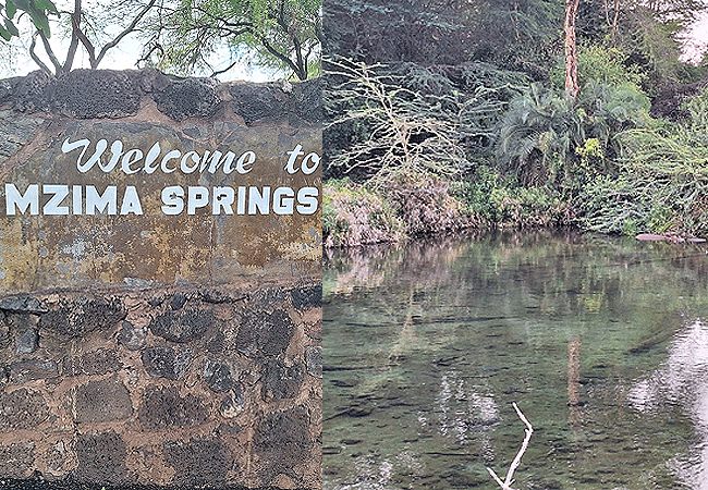 tsavo-west-national-park-2-days-1-night-safari-mzima-springs Tsavo West National Park 2 Days 1 Night Safari