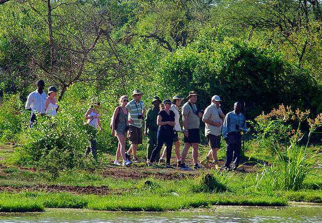 voyager-ziwani-camp-tsavo-west-national-park-guided-nature-walk Voyager Ziwani Camp Tsavo West National Park
