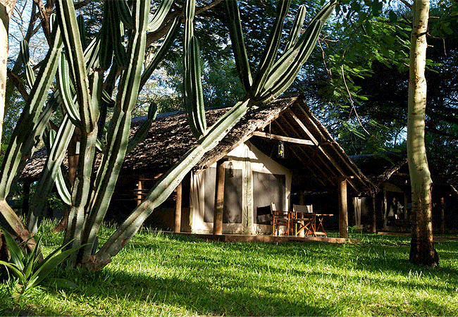 voyager-ziwani-camp-tsavo-west-national-park-is-257-km-from-nairobi-via-the-nairobi-emali-loitokitok-njukini-route-or-273-km-from-mombasa-via-the-voi-taveta-route Voyager Ziwani Camp Tsavo West National Park
