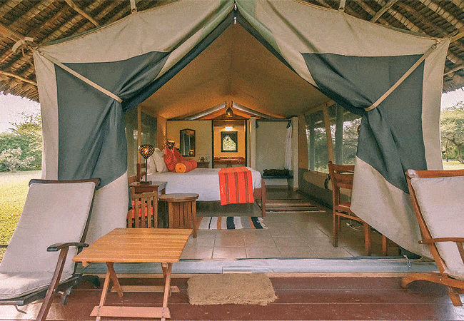voyager-ziwani-camp-tsavo-west-national-park-is-located-on-a-private-sanctuary-on-a-secluded-dam-on-the-sante-river-home-to-turtles-crocodiles-and-hundreds-of-basking-hippos Voyager Ziwani Camp Tsavo West National Park