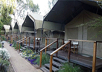 Wildebeest Eco Camp, Langata – Nairobi