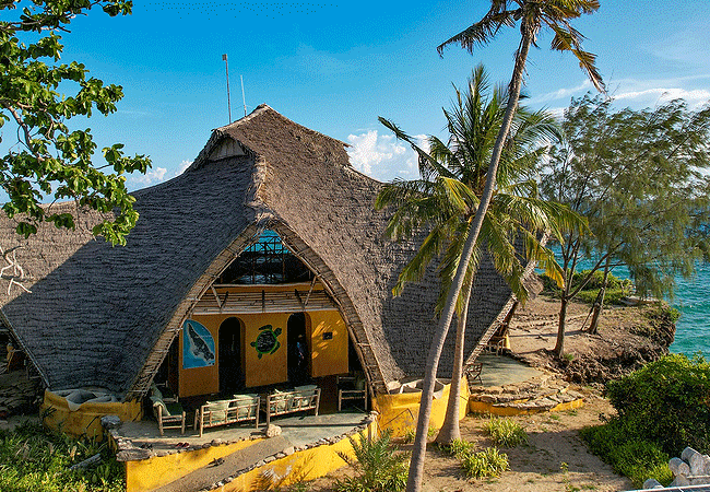 Zanzibar chumbe island coral park day trip