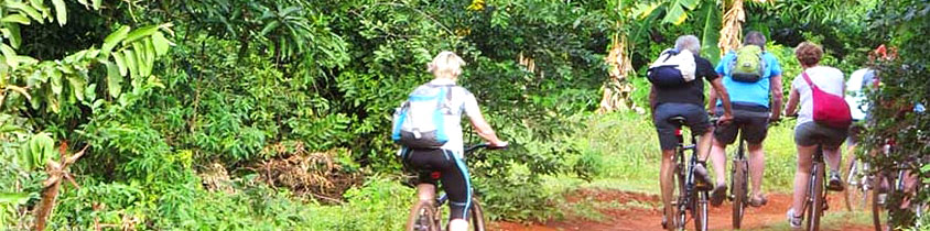 Zanzibar Stone Town Spice Farm 1 day bicycle guided tour