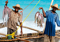 Local Game Fishing with Zanzibar Fishermen – Zanzibar Island
