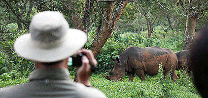 Kampala Day Tour Ziwa Rhino Wildlife Ranch Trip