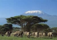3 Day Luxury Fly-In Safari Amboseli Serena Safari Lodge