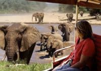 3 Day Samburu Fly-in Safari Elephant Watch Camp