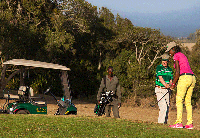 3-days-2-nights-ark-&-aberdare-country-club-safari-aberdare-country-club-golf 3 Days 2 Nights Ark & Aberdare Country Club Safari