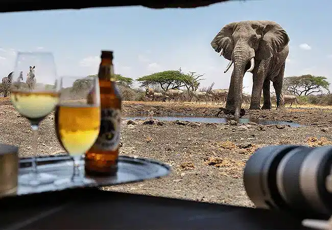 3 Days 2 Nights Ol Donyo Lodge Chyulu Hills Fly-in Safari