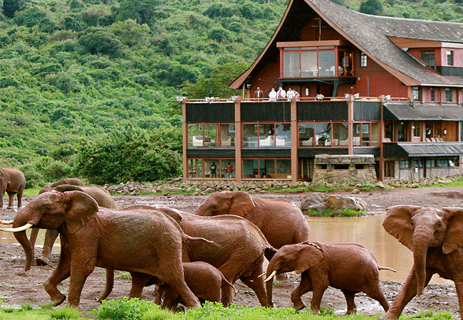 4-day aberdare national park samburu game park safari-from-nairobi
