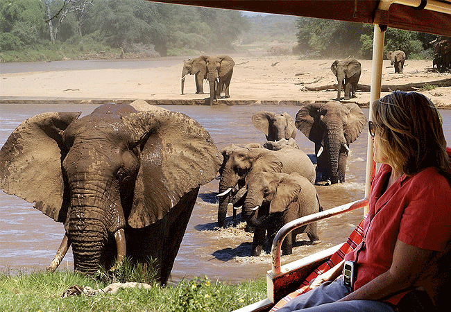 4-day aberdare national park samburu game park safari-from-nairobi