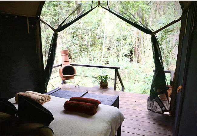 4 Day Sangare Conservancy Aberdare Kenya Safari Holiday