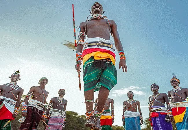 4 Days 3 Night Kitich Forest Camp Fly-in Safari | Mathews Mountains