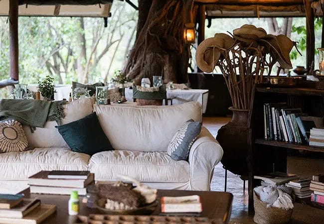 4 Days 3 Night Kitich Forest Camp Fly-in Safari | Mathews Mountains