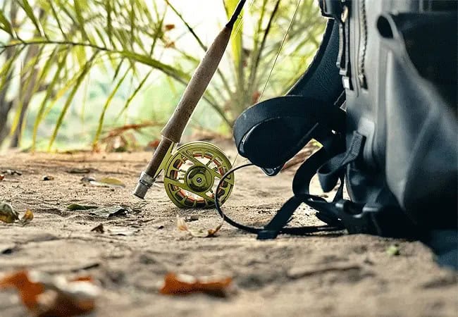 4 Days 3 Night Kitich Forest Camp Fly-in Safari | Mathews Mountains