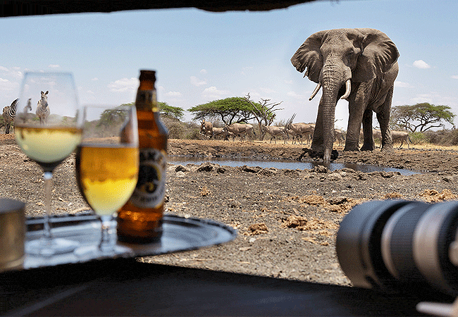 4-days-3-nights-ol-donyo-lodge-chyulu-hills-fly-in-safari-log-pile-hide-a-secret-shaded-spot-from-which-to-view-the-many-mammals-that-come-in-for-a-drink 4 Days 3 Nights Ol Donyo Lodge Chyulu Hills Fly-in Safari