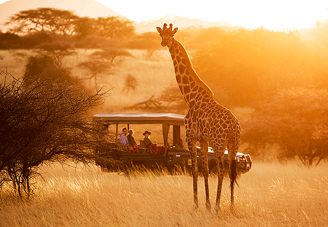 4-days-3-nights-ol-donyo-lodge-chyulu-hills-fly-in-safari-thrilling-4x4-game-drives-in-the-private-mbirikani-group-ranch-on-275,000-acres-in-the-foothills-of-the-chyulu-hills 4 Days 3 Nights Ol Donyo Lodge Chyulu Hills Fly-in Safari